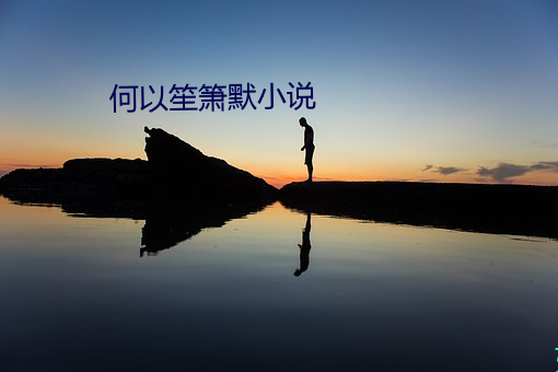 何以笙箫默小說