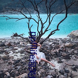 ppfflife泡芙(fú)短视(shì)频(pín)