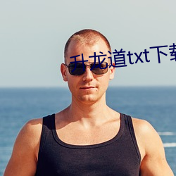 升龙道txt下载
