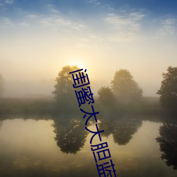 閨蜜太大膽藍雅小說