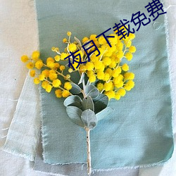 918博天堂·(中国)手机版客户端