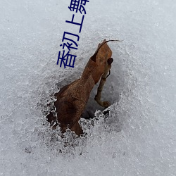 918博天堂·(中国)手机版客户端