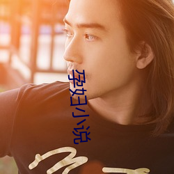 孕妇小说