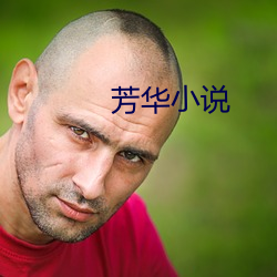 芳(fāng)华小说