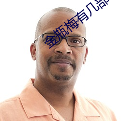 金瓶梅有几部