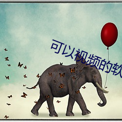 可(可)以视频的(的)软件(件)交(交)友(友)