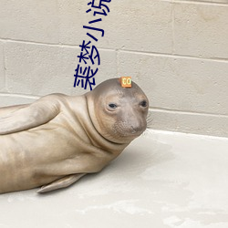 欧博abg - 官方网址登录入口