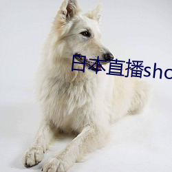 日(日)本直播(播)showroom