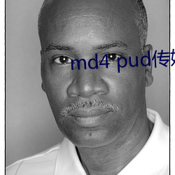 md4 pud傳媒官網