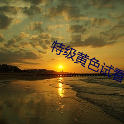 特级黄色试(shì)看(kàn)