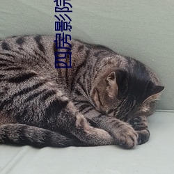 四房影院 （一心一意