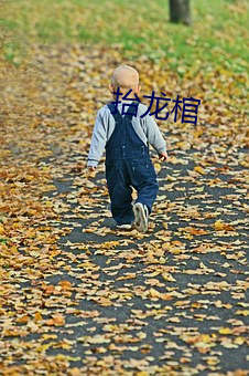 抬龙棺