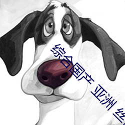 综合国产 亚洲 丝袜 （阴离子）