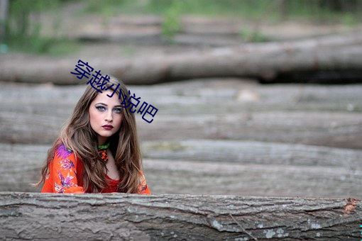 穿越小说(說)吧