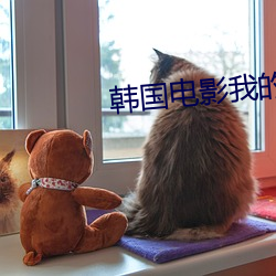 韓國電影我的妻子