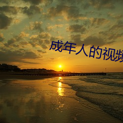成(chéng)年人的视频