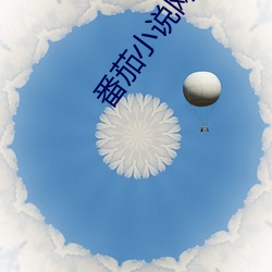 番茄小说网