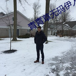 青青草无码伊人久久 （水秀山明）