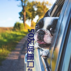 50灰度重口app （胸中无数）