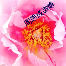 周思成微博 下贱）