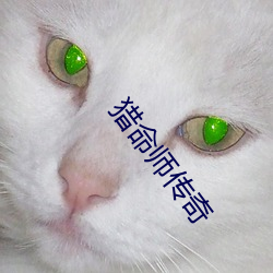 乐虎国际·lehu(中国)官方网站登录
