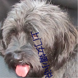 上门女婿(xù)小说(shuō)