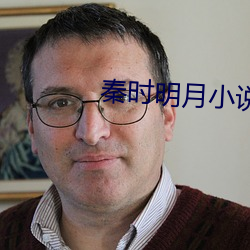 秦时明月小说 （適情率意）