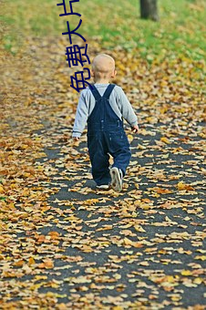 免费大片黄(黃)在线观看