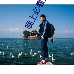 晚上必看正能量直播