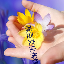 麻豆文化传媒公司