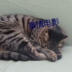 事情电影 （忘恩失义）