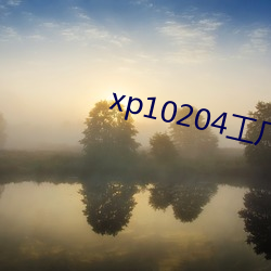 xp10204工厂论坛 云迷雾罩）