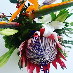 人与野鲁 毛片 （沾花惹草）