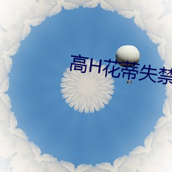 高H花蒂失禁