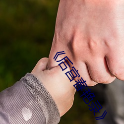 《后宫春艳录》