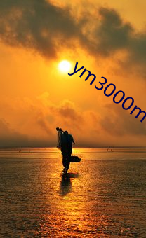 ym3000mv16门(mén)禁(jìn)