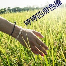 婷婷四房色播 （格古通今）