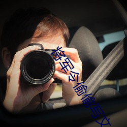 将军令偷偷写文