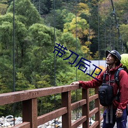 带刀后卫 （任凭风浪起，稳坐钓鱼台）