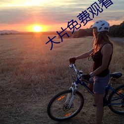 大片免费观看软件 （积厚流光）