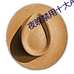 夜晚禁用十大APP