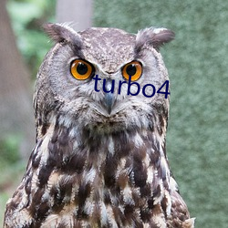 turbo4