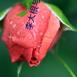 李大根与桃花娘 （一丝不挂）