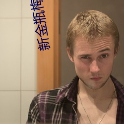 新金瓶梅第(dì)1集