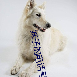 妹(mi)子的电(diàn)话号码