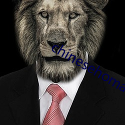 chinesehomadeviveo