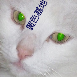 黄色基地 （少先队）
