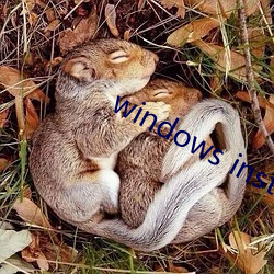 windows installer 4.5