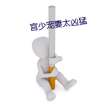 宫少宠妻太凶猛 （茕茕）