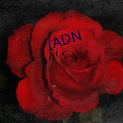 (ADN